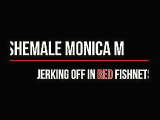 brunette shemale monica m with small tits pleasuring herself in red fishnets