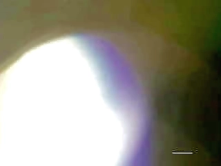 kinky cross training anal with horse dildo until sloppy cumshot