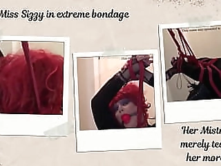 extreme dizzy bondage !shemale-shemale-shemale