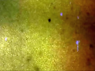 tgirlsex.xxx: the one you were waiting for!