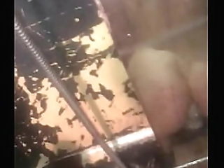 black shemale fingers and fucks blonde babe s pussy hole