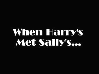 sims 4: when harry'_s met sally'_s - a parody