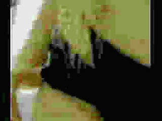 redhead 19yo tranny fucks bigbooty shemale in asshole