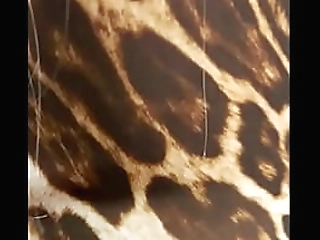 hot brunette shemale jessica ninfeta outdoor dick wanking lesson