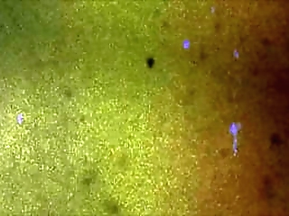 blacktgirlshardcore: eros orisha for cock