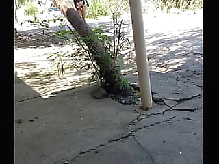 tv zoe and shemale slut go crazy for cock and anal action