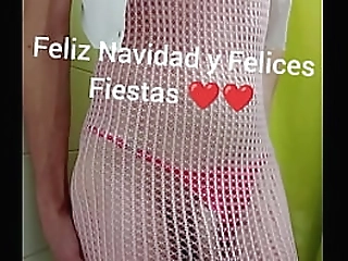 ladyboy wanks her cock and toys her bunghole with a dildo