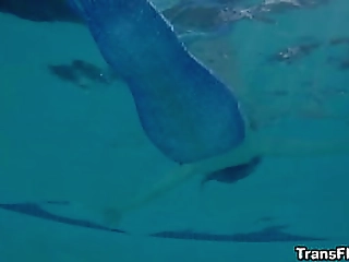 shemale - cute amateur shemale wanking