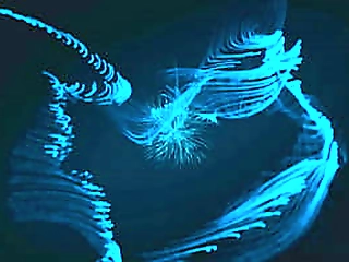 claire tenebrarum &_ itzel saenz share huge dick in ts blowbang