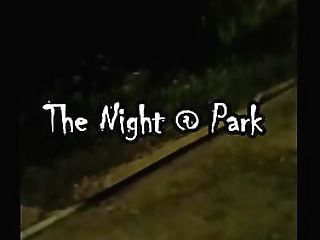 giovanni valente fucks a brunette shemale