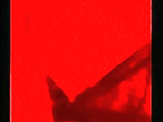 four hot trannies come together for a sexy anal orgy