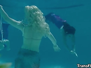 german tourist has bareback anal sex with thai ladyboy ts hooker