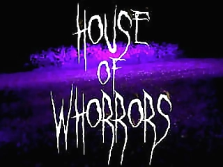 house of whorrors alley katz 2