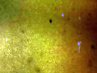 groobygirls: calling ms. winters