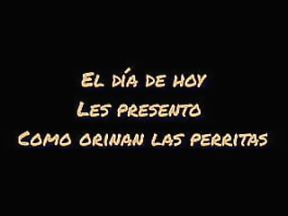 automated pleasures with charming skinny shemale isadora ribeiro