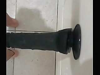 pretty brazilian shemales giselly lins and viviane rodrigues suck sock