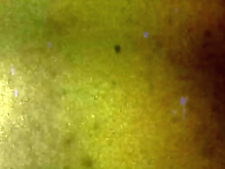 horny guy rides on brazilian shemale carla novaes hard cock