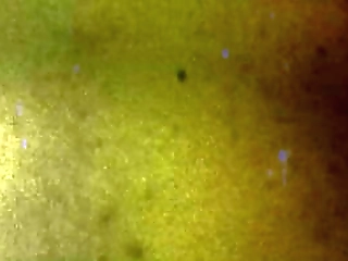 bob'_s tgirls: call me ashley aspen!