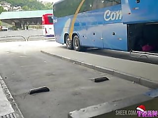 shemale transexual swallowing bbc before cumming on each others cock