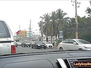 picked up amateur ladyboy jerks off solo