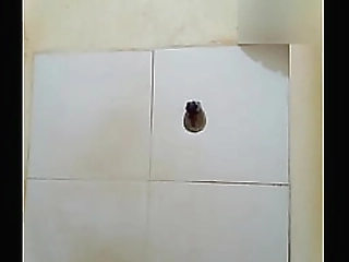 brunette busty shemale hooks up with blonde busty girl