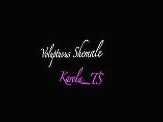 sexy shemale sabrina fucks black guy with her big shecock